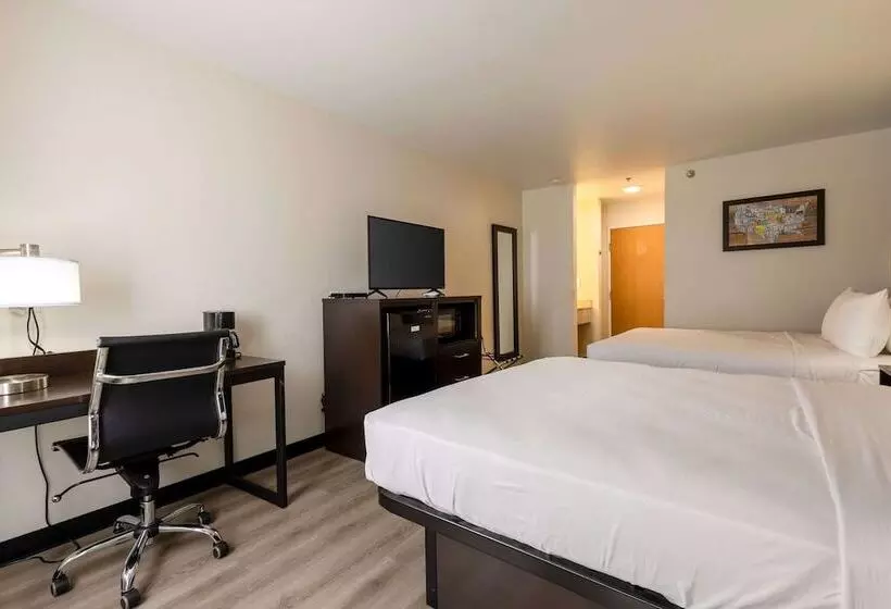 Hotel Quality Inn Winslow I 40