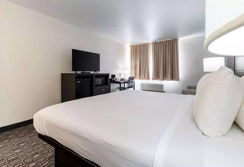 Hotel Quality Inn Winslow I 40