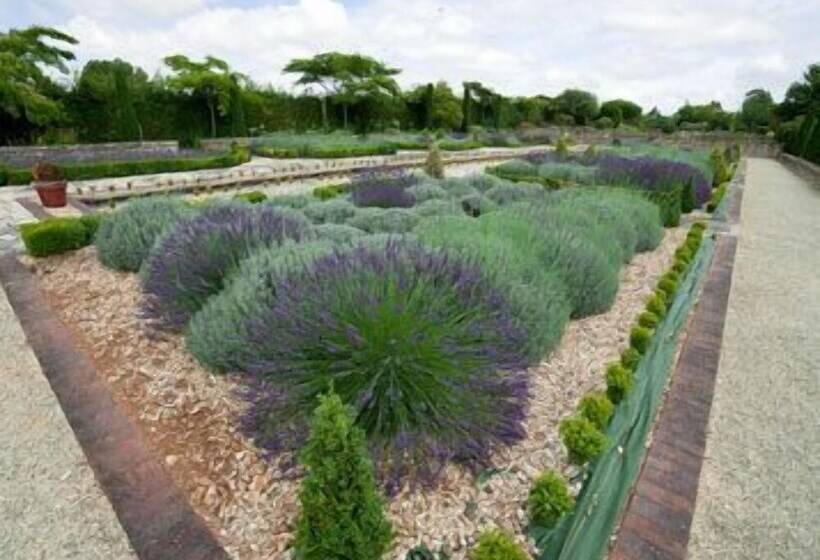 فندق Les Jardins Du Lac