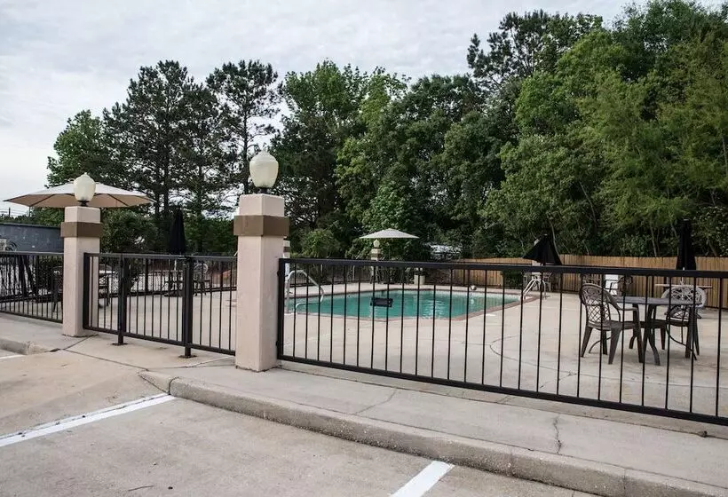 فندق Mockingbird Inn & Suites