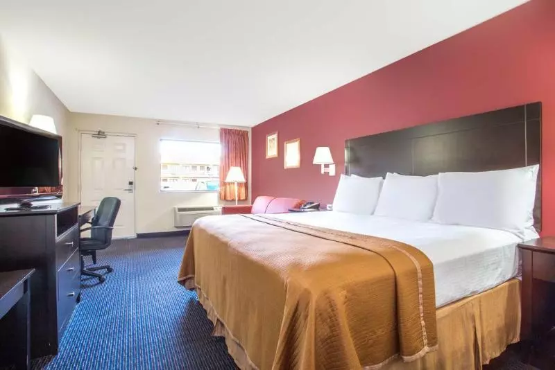 בית מלון כפרי South Tampa & Suites