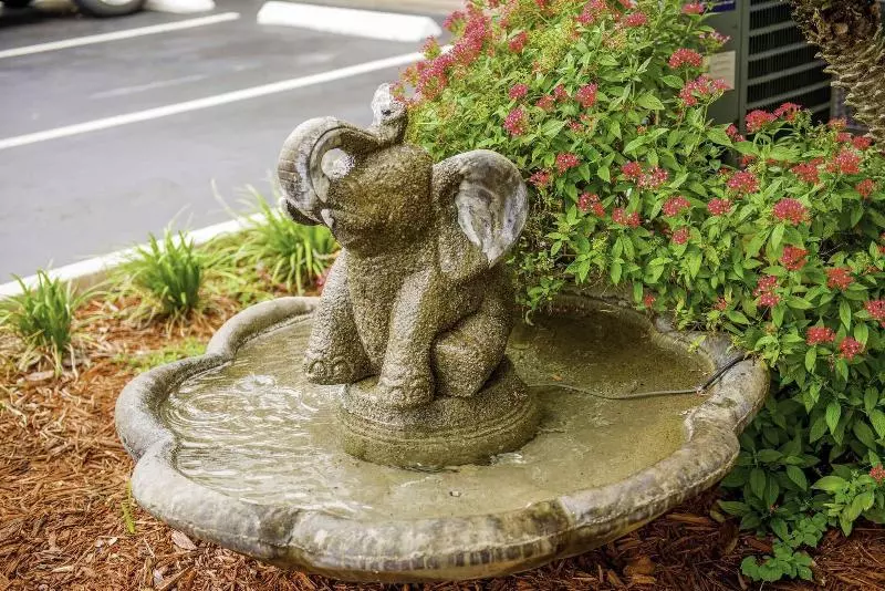 בית מלון כפרי South Tampa & Suites