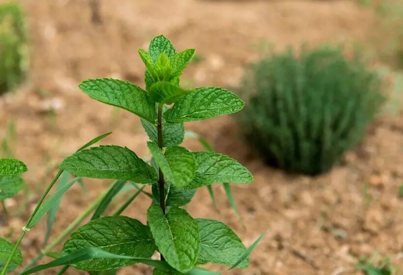 Отель The Originals City, Hôtel La Belle étape, Brignoles