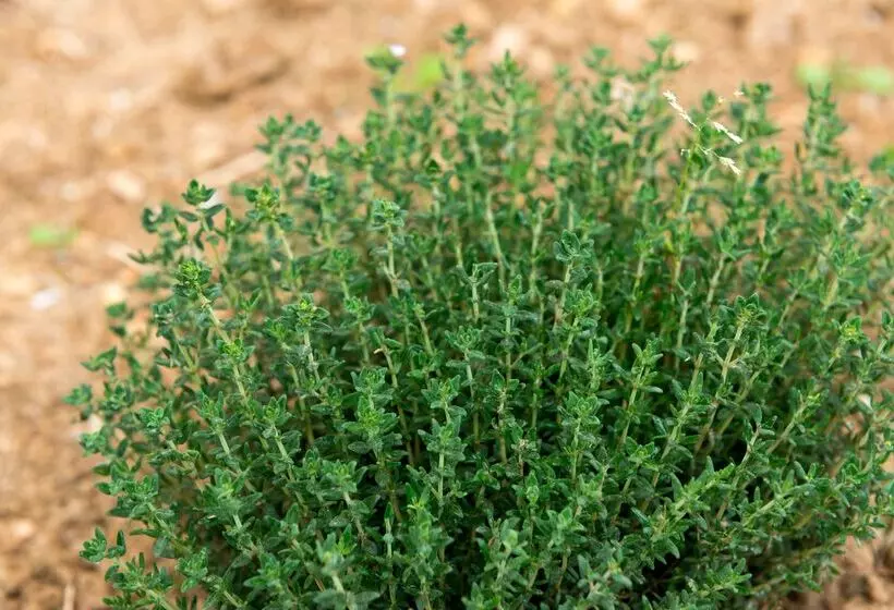 Отель The Originals City, Hôtel La Belle étape, Brignoles