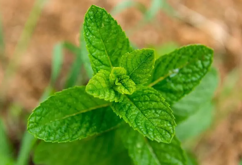 Отель The Originals City, Hôtel La Belle étape, Brignoles