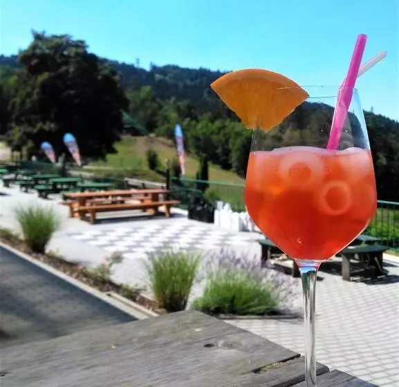 Retro Hotel Pod Zvičinou