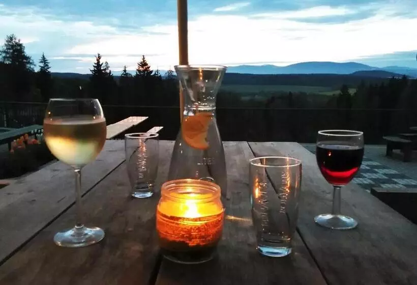 Retro Hotel Pod Zvičinou