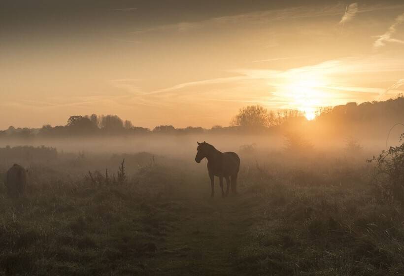 Hotel Château St Gerlach Oostwegel Collection, Member Of Relais And Châteaux