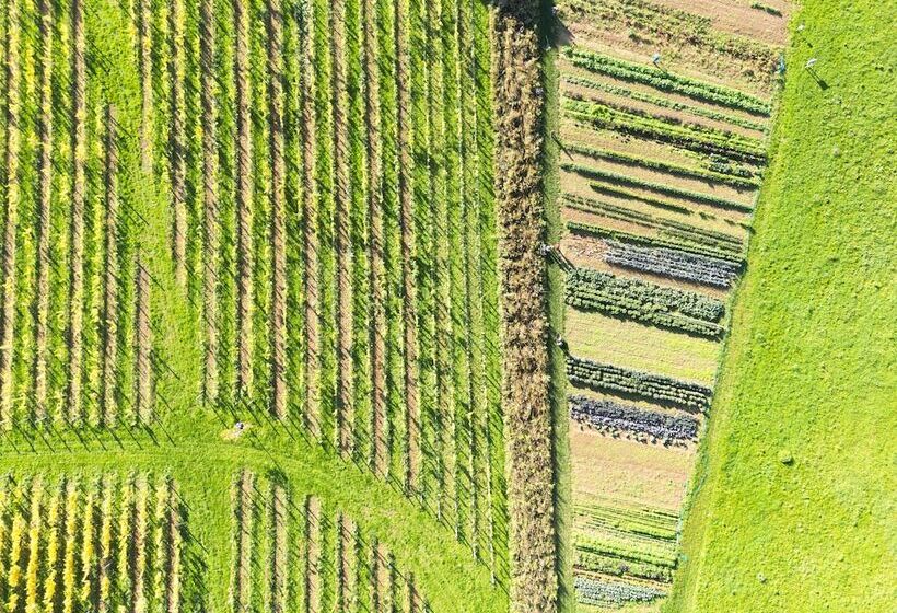 Hotel Château St Gerlach Oostwegel Collection, Member Of Relais And Châteaux