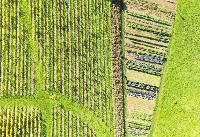 Hotel Château St Gerlach Oostwegel Collection, Member Of Relais And Châteaux