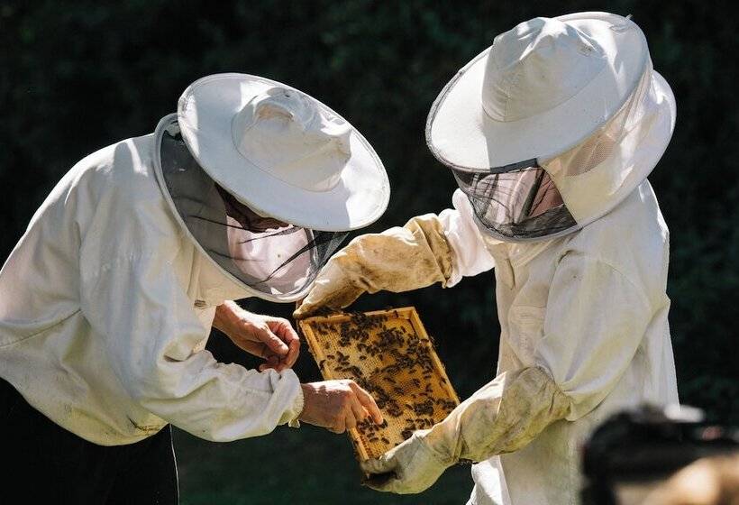 Hotel Château St Gerlach Oostwegel Collection, Member Of Relais And Châteaux