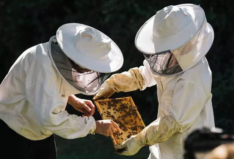 Hotel Château St Gerlach Oostwegel Collection, Member Of Relais And Châteaux