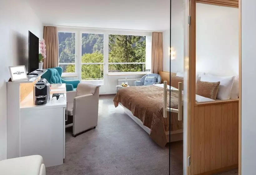 酒店 Waldegg   Adults Only