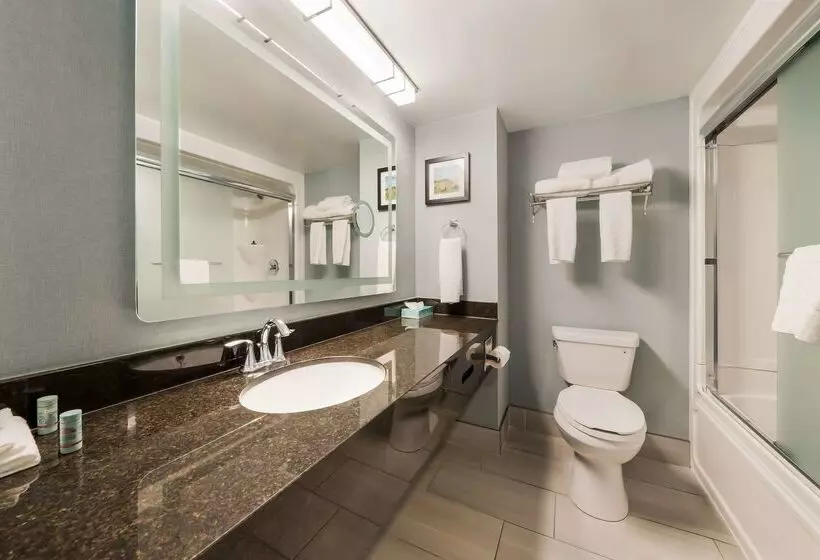 酒店 Best Western Belleville