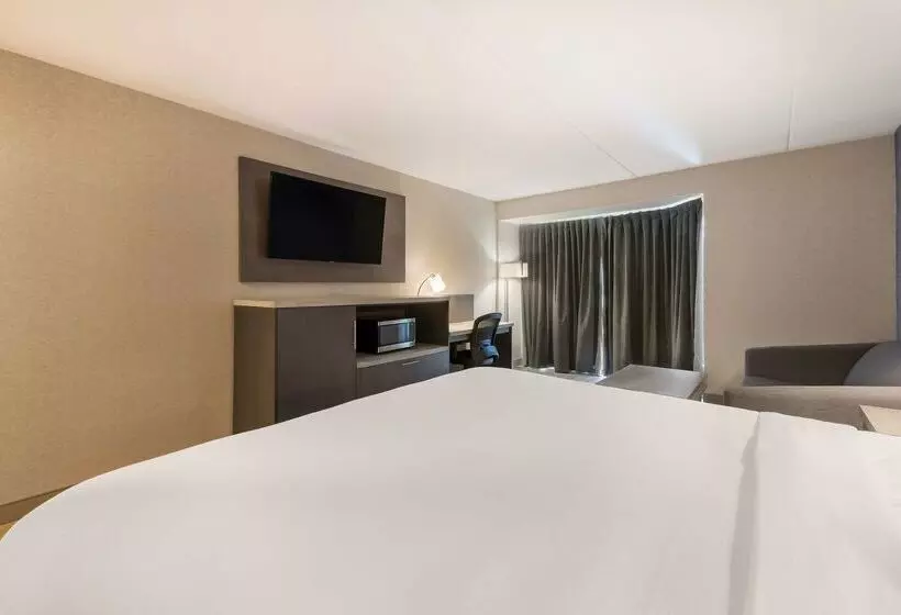 酒店 Best Western Belleville