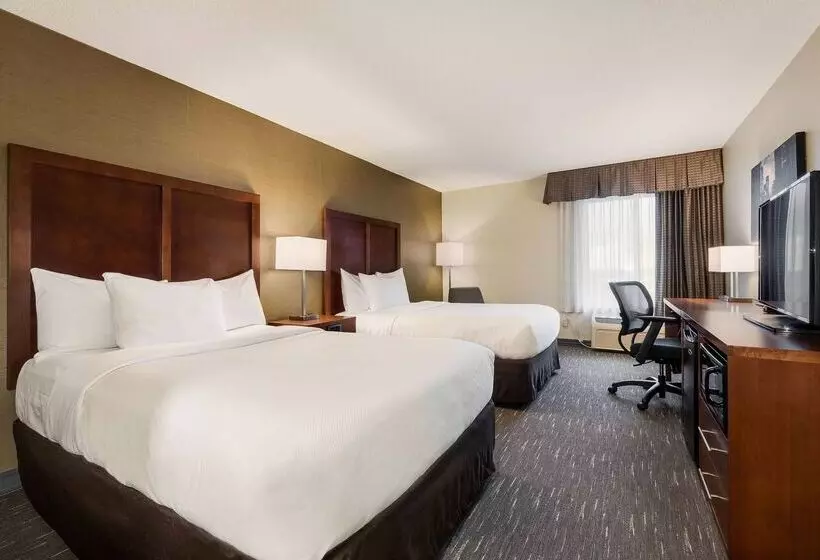 ホテル Best Western Chicago Downers Grove