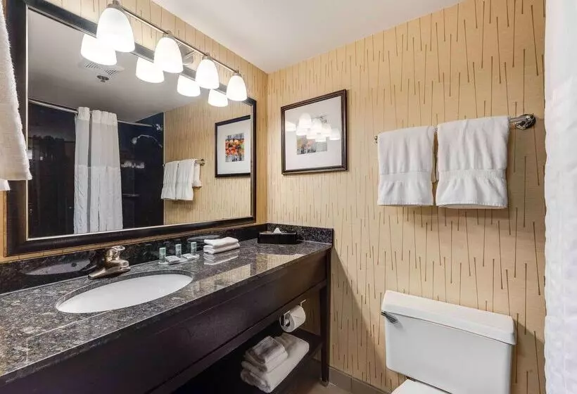 ホテル Best Western Chicago Downers Grove