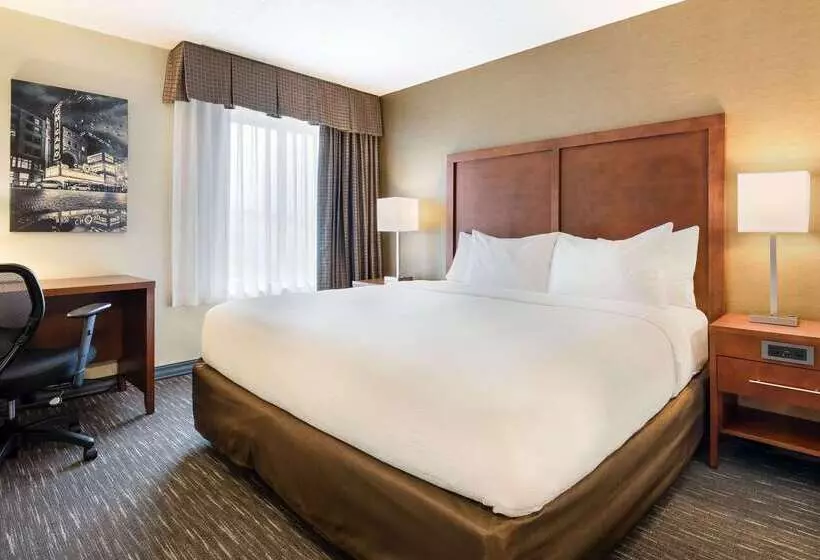 ホテル Best Western Chicago Downers Grove