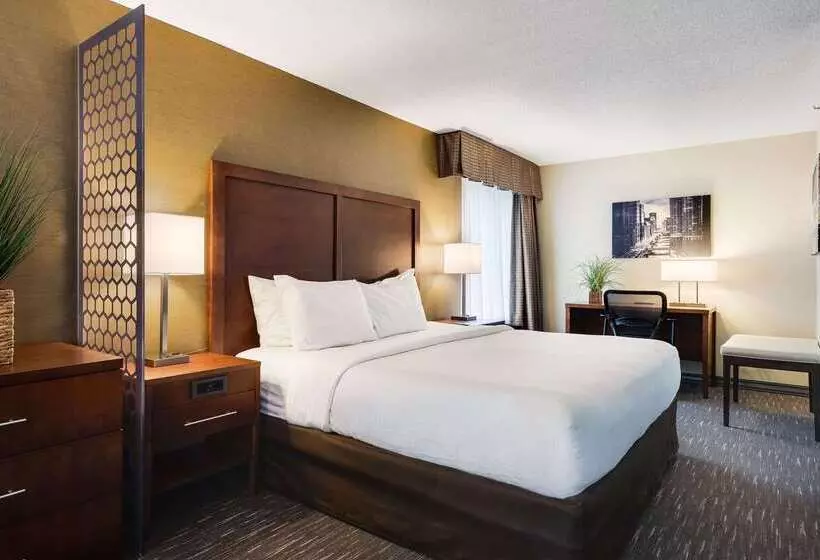 ホテル Best Western Chicago Downers Grove