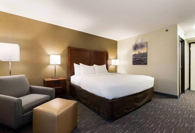 ホテル Best Western Chicago Downers Grove