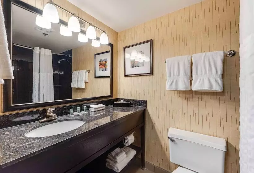 ホテル Best Western Chicago Downers Grove