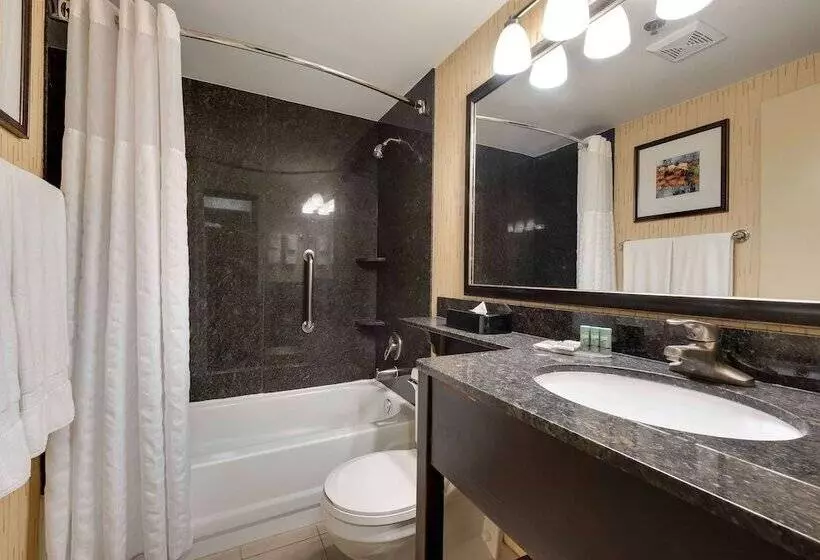 ホテル Best Western Chicago Downers Grove