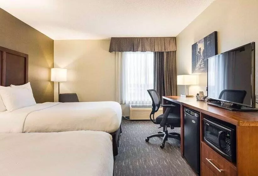 ホテル Best Western Chicago Downers Grove