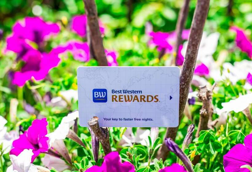 Otel Best Western Grants Pass Inn