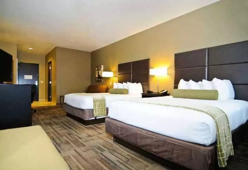 בית מלון כפרי Best Western Plus Night Watchman Inn & Suites