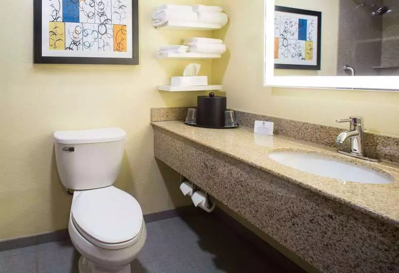 בית מלון כפרי Best Western Plus North Shore