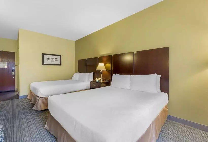 酒店 Best Western Plus Plaza By The Green