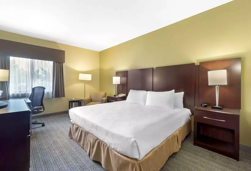 酒店 Best Western Plus Plaza By The Green