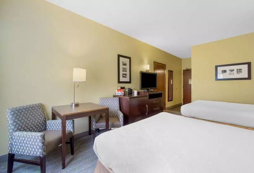 酒店 Best Western Plus Plaza By The Green