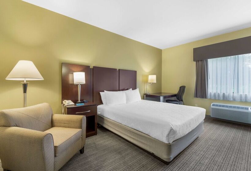 فندق Best Western Plus Plaza By The Green