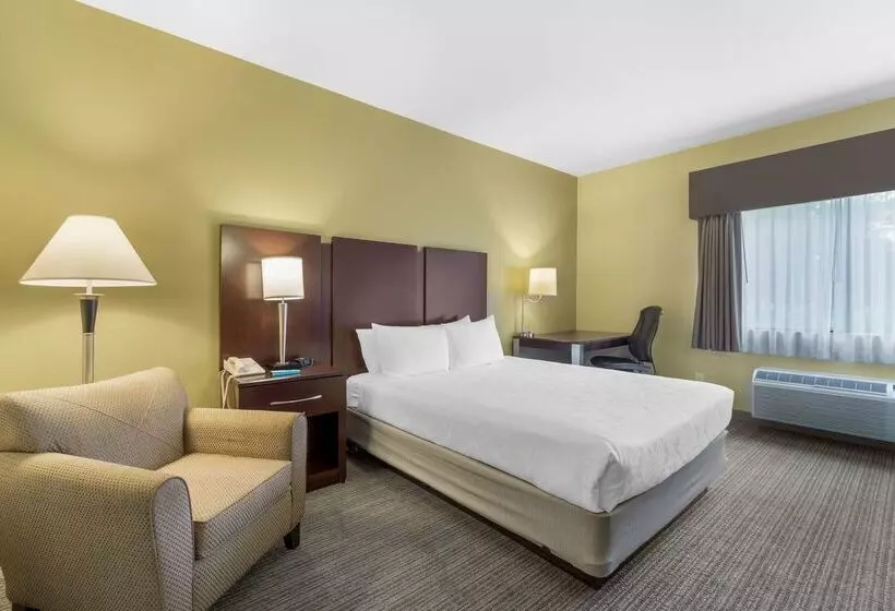 酒店 Best Western Plus Plaza By The Green