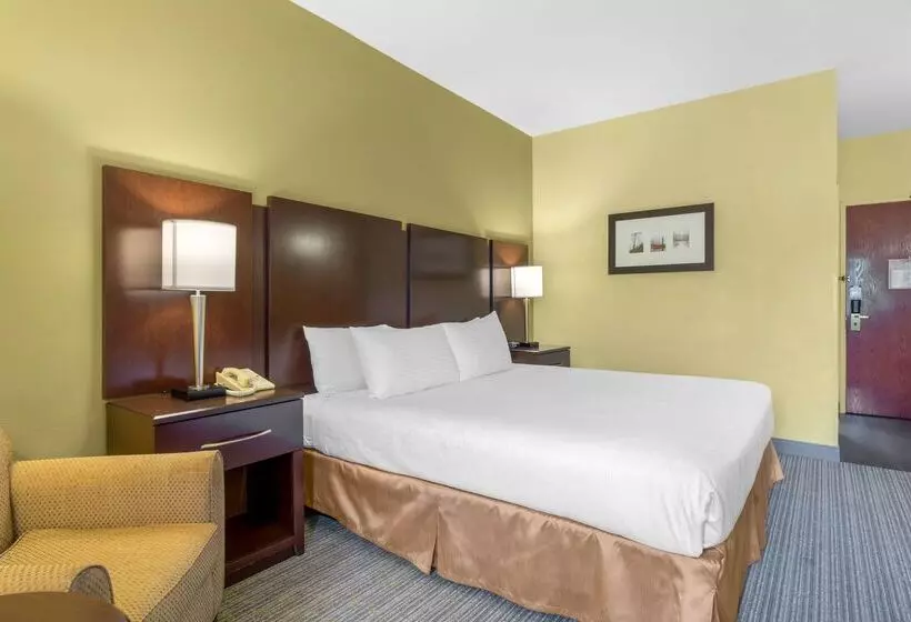 酒店 Best Western Plus Plaza By The Green