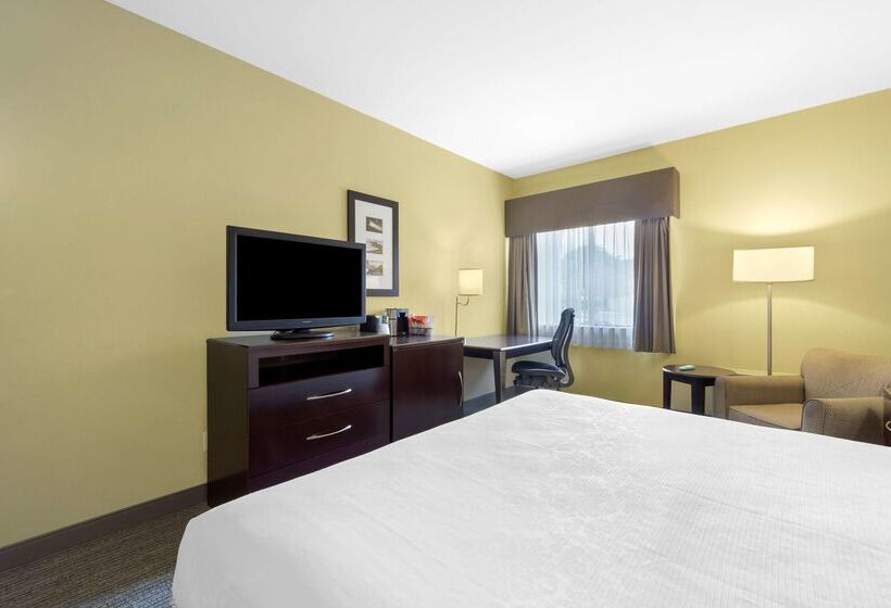 فندق Best Western Plus Plaza By The Green