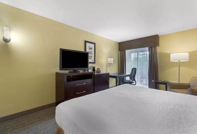 酒店 Best Western Plus Plaza By The Green