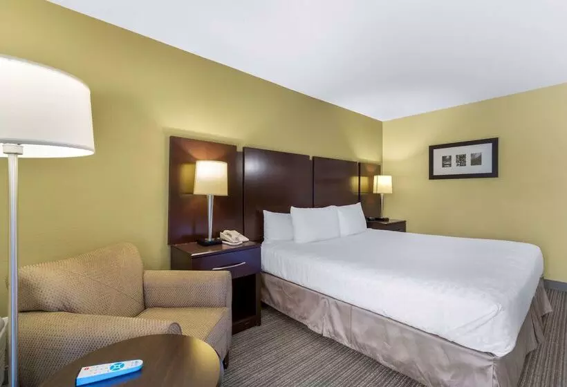 酒店 Best Western Plus Plaza By The Green