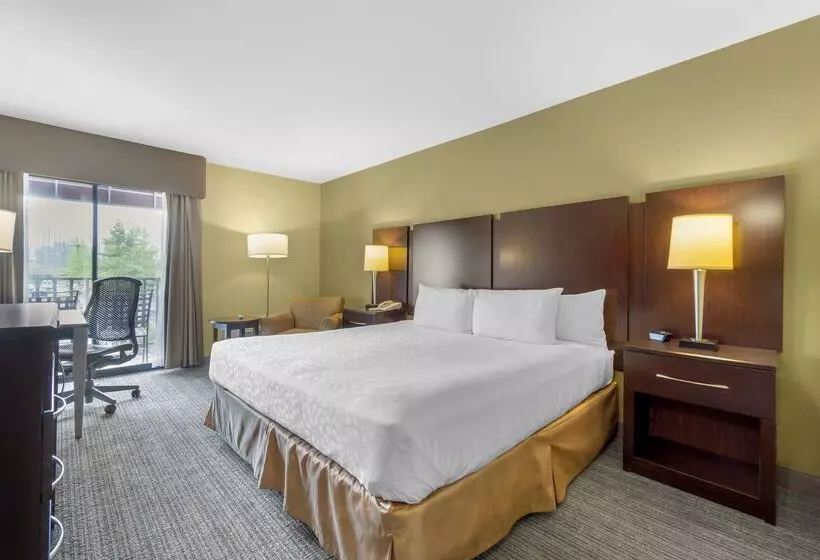 酒店 Best Western Plus Plaza By The Green