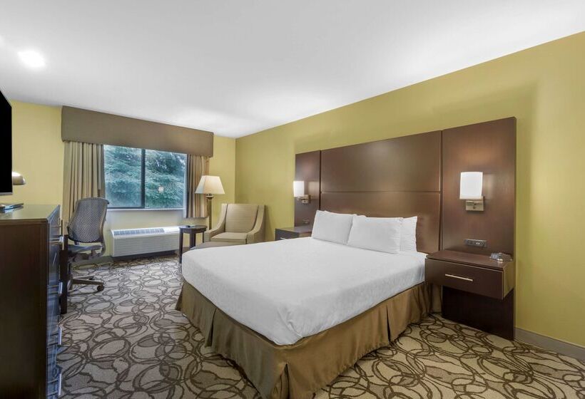 فندق Best Western Plus Plaza By The Green