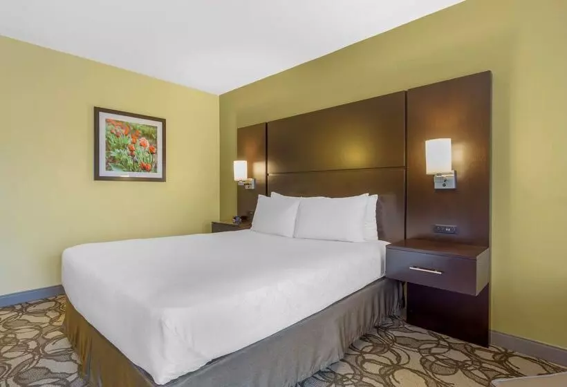 酒店 Best Western Plus Plaza By The Green