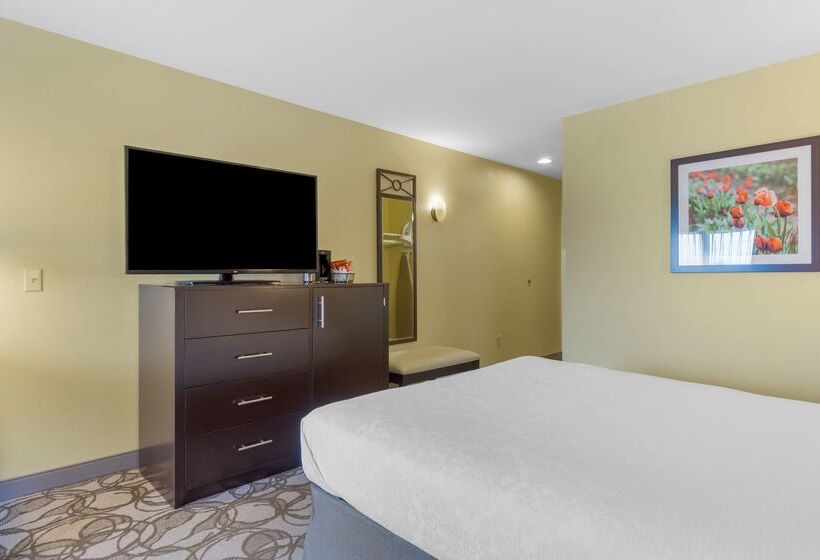 فندق Best Western Plus Plaza By The Green