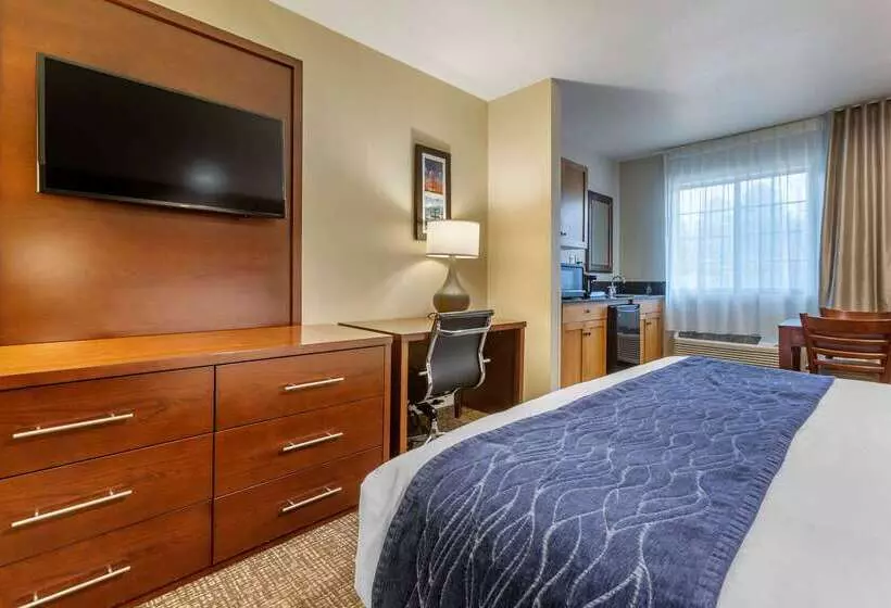 酒店 Comfort Inn I17 & I40