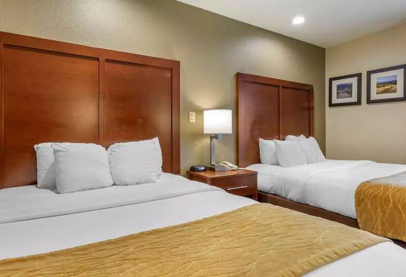 酒店 Comfort Inn I17 & I40