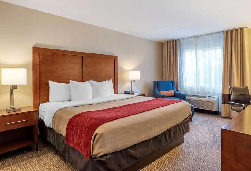 فندق Comfort Inn & Suites