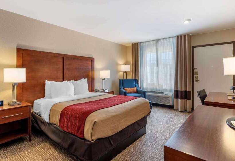 فندق Comfort Inn & Suites