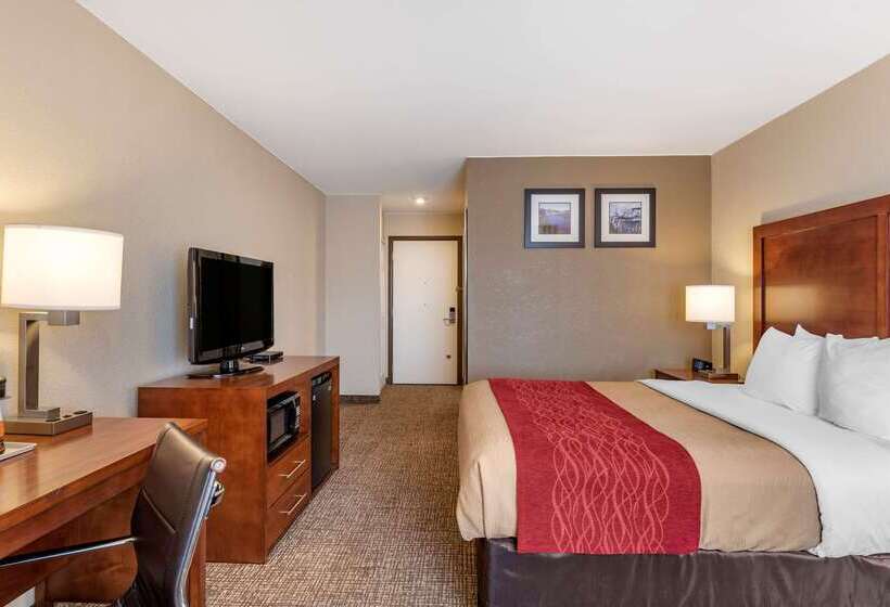 فندق Comfort Inn & Suites