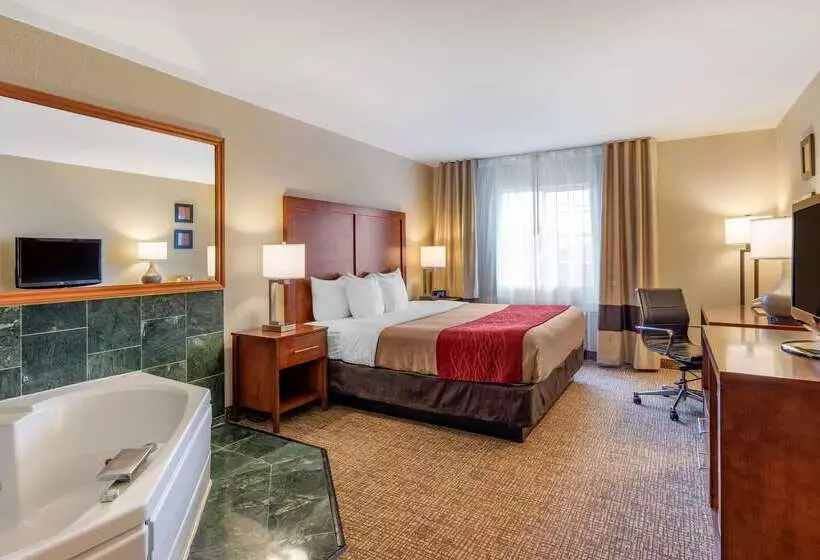 هتل Comfort Inn & Suites