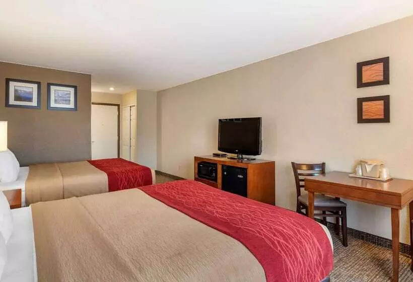 هتل Comfort Inn & Suites